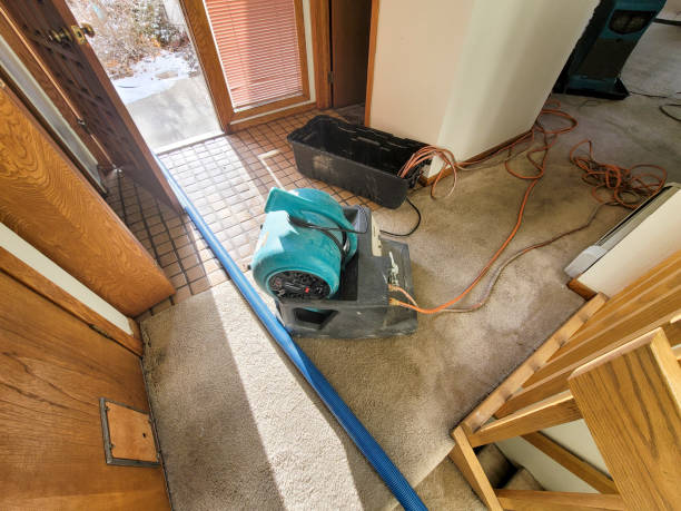 Best Professional water damage repair  in Sherman, IL