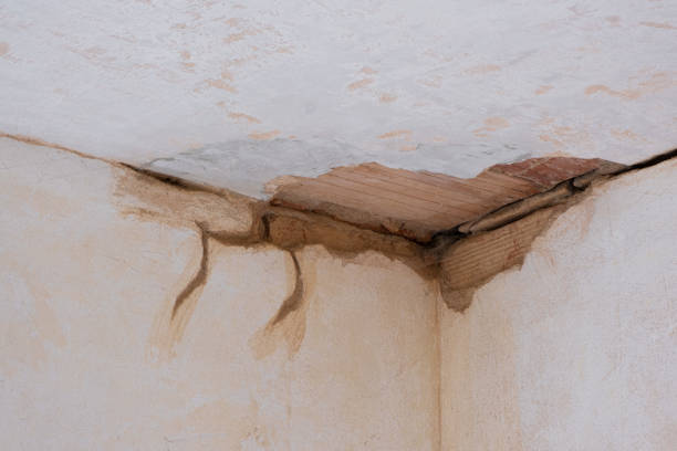 Best Commercial water damage restoration  in Sherman, IL