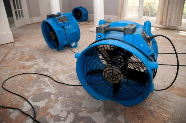 Best 24/7 water damage repair  in Sherman, IL