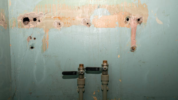 Best Water damage restoration near me  in Sherman, IL