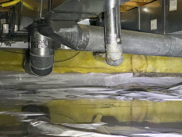 Best Water damage cleanup near me  in Sherman, IL