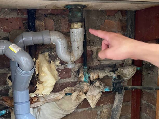 Best 24/7 water damage repair  in Sherman, IL