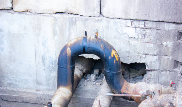 Best Water damage restoration near me  in Sherman, IL