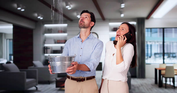 Best Water damage restoration near me  in Sherman, IL