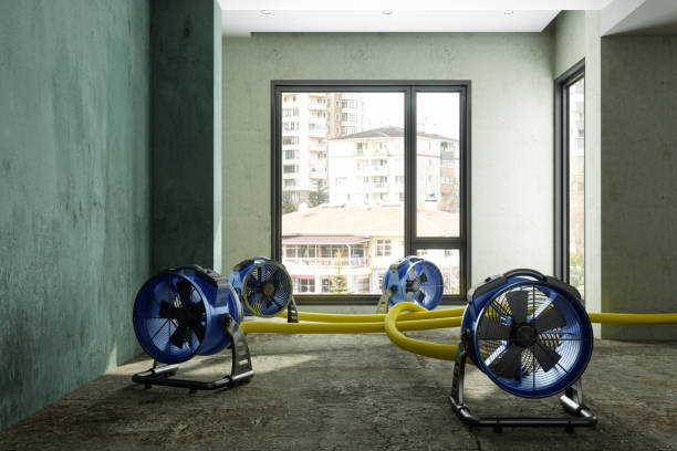Best Mold removal after water damage  in Sherman, IL